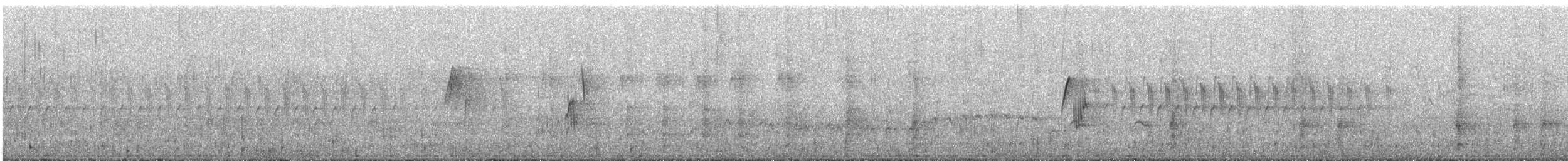 Hammond's Flycatcher - ML590402541