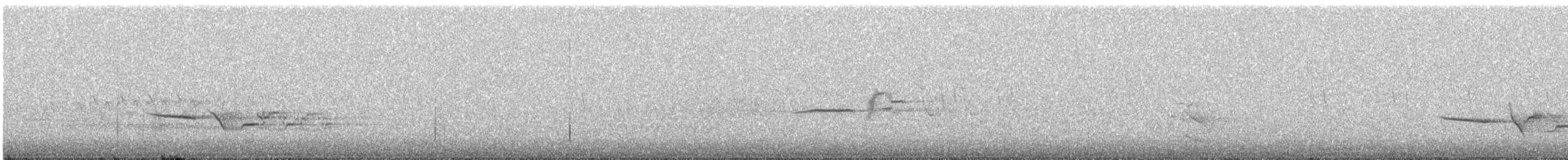 Hermit Thrush - ML590403011