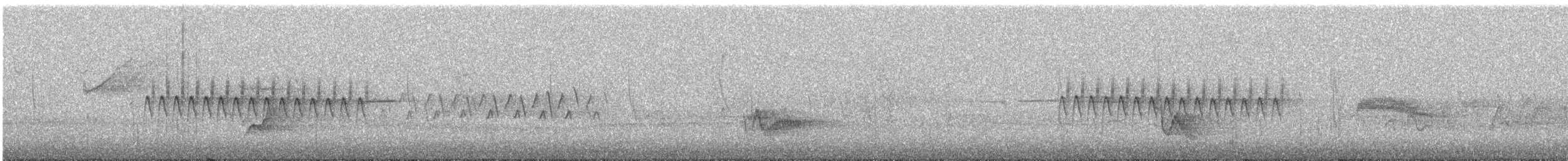 Dark-eyed Junco - ML590404301