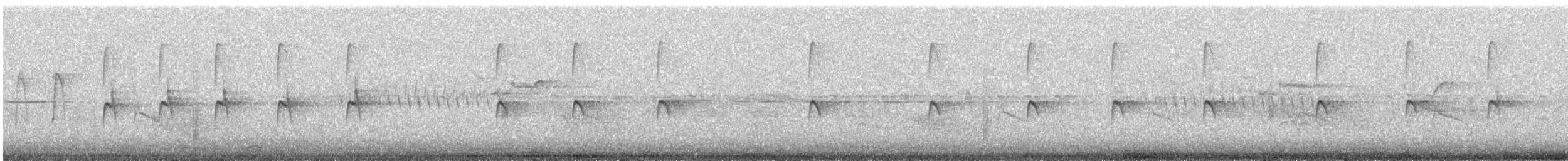 Pygmy Nuthatch - ML590404861