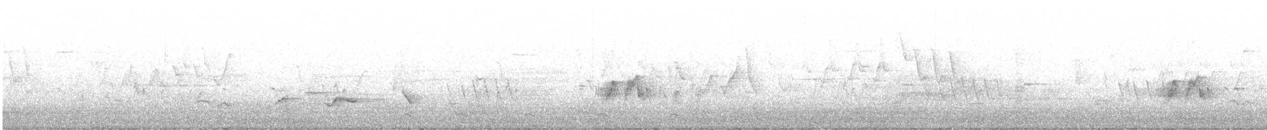 tyranovec olšový - ML590424181
