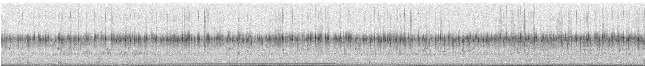 Striped Flufftail - ML590425851
