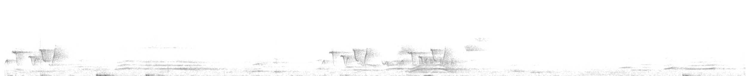 Серогрудый крапивник [группа mexicana] - ML590537451