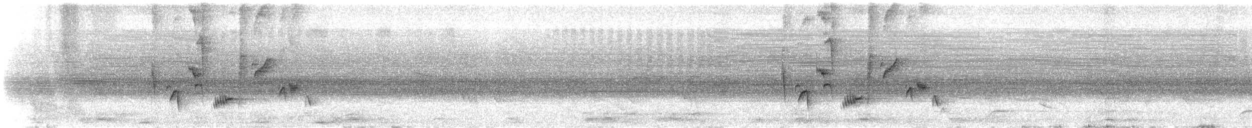 Turuncu Gagalı Bülbül Ardıcı - ML590539651