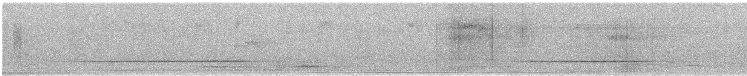 Spotted Quail-thrush - ML590545951
