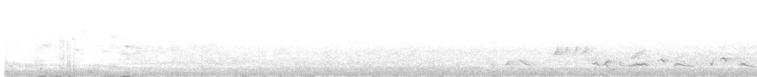 シロハラアオマネシツグミ - ML590548351