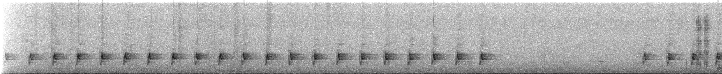 pěnicovec krátkoocasý [skupina brachyura] - ML590570131