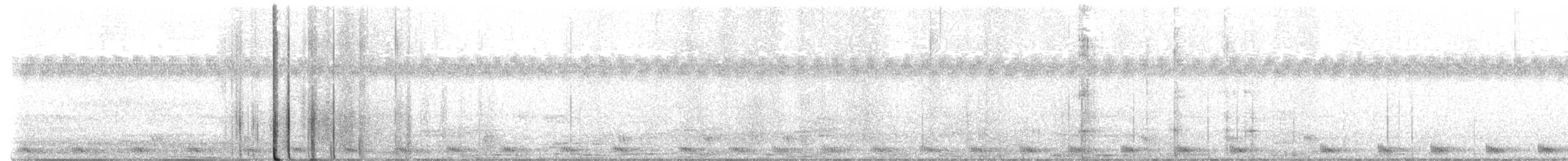 Large-tailed Nightjar - ML590606161