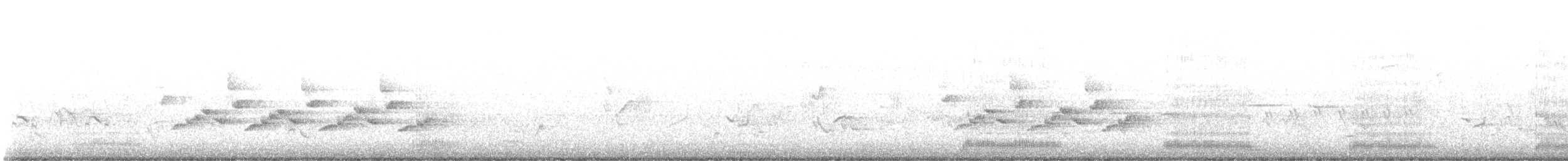 Большая белая цапля - ML590616741