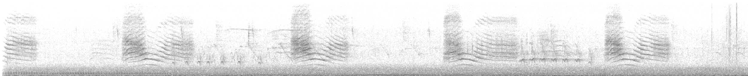 Пересмішник сірий - ML590630591