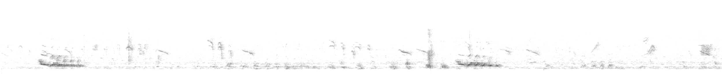 Tétraogalle du Tibet - ML590632071