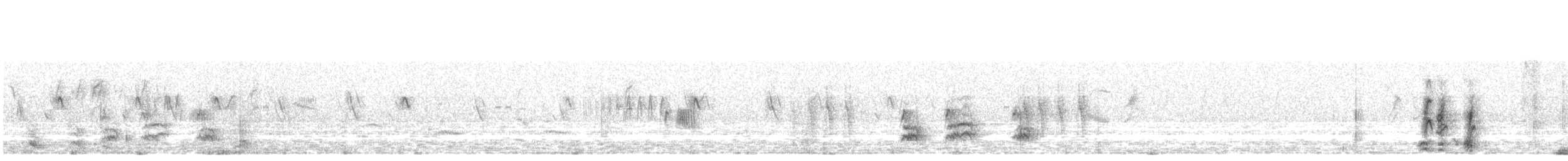 Tétraogalle du Tibet - ML590632091