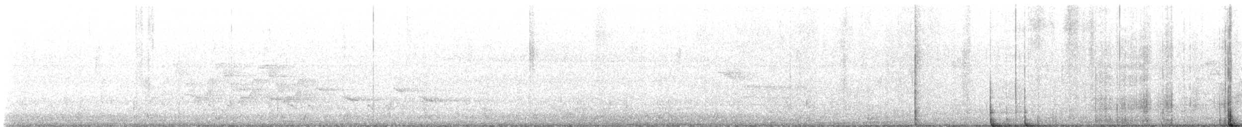 Büyük Mor Kırlangıç - ML590633221