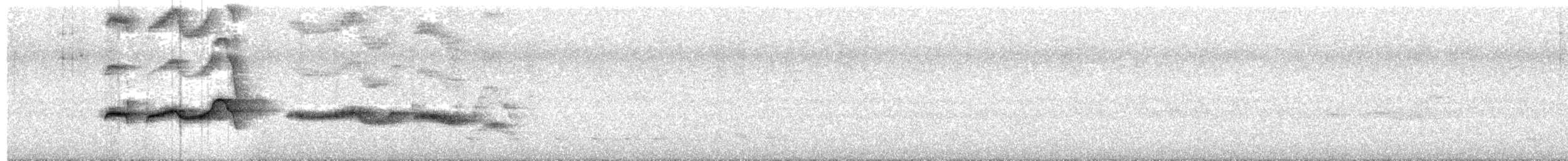 Çizgili Sırtlı Karıncaçıvgını - ML590643241