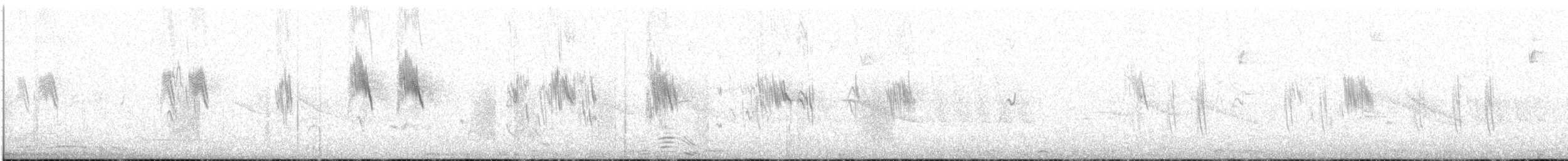 Brown-bellied Swallow - ML590656991