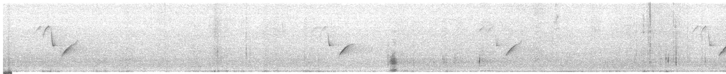 Çam Baştankarası [aemodius grubu] - ML590661511