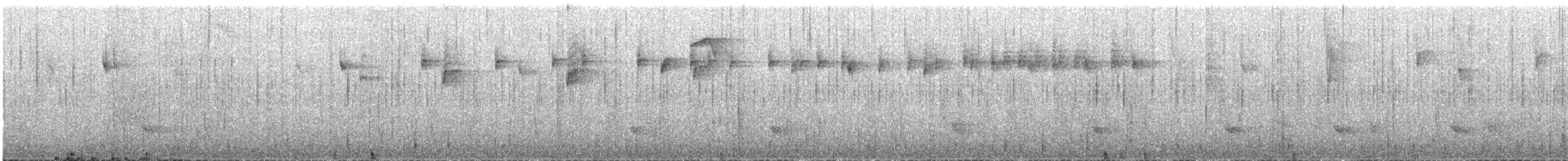 Long-tailed Tapaculo - ML590664341