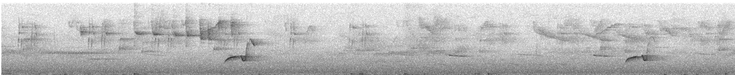 インカマユミソサザイ - ML590668511