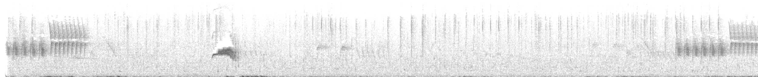 Тауї плямистий - ML590703401