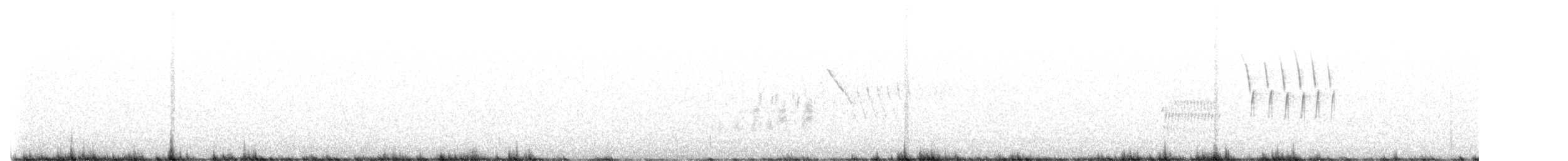 Тауї плямистий - ML590703411
