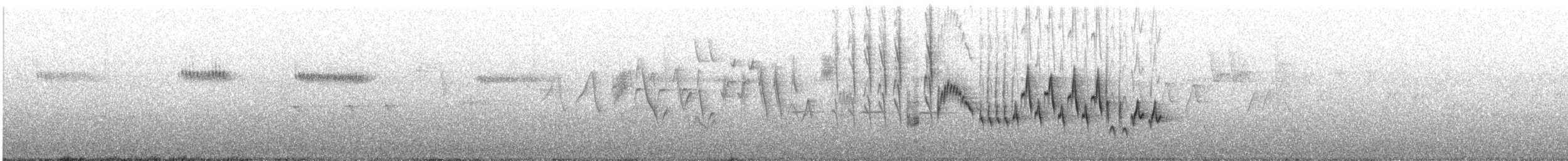 Northern House Wren - ML590704001