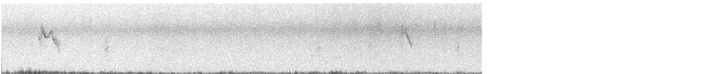konipas luční (ssp. flava/beema) - ML590720381
