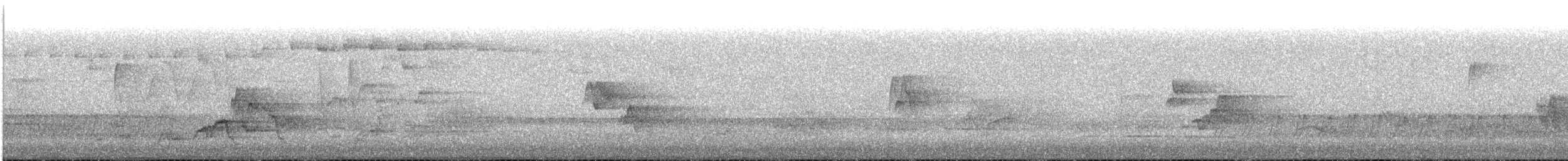 Дрізд-короткодзьоб Cвенсона - ML59073491