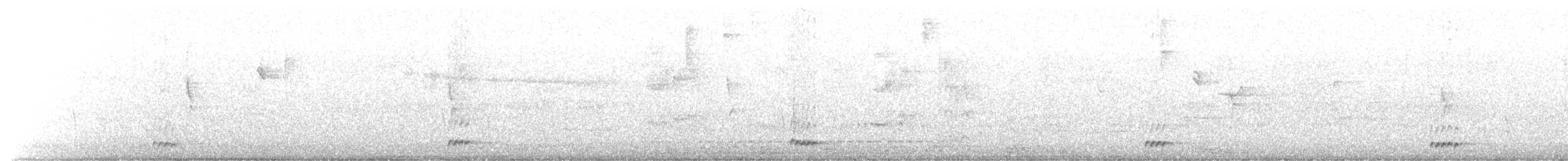 Rufous-tailed Antthrush - ML590764821