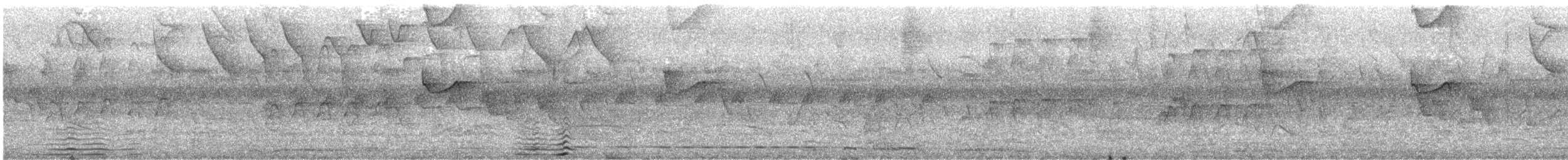 Swallow-tailed Kite - ML590779601