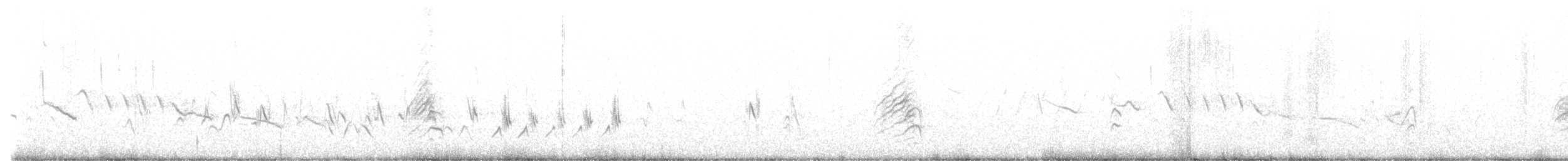 Ev Çütresi [mexicanus grubu] - ML590795281