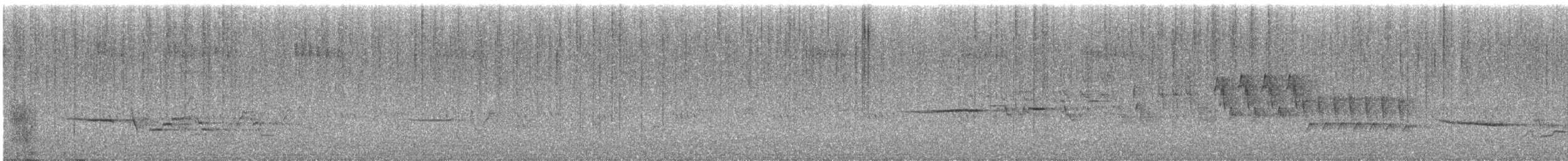 Münzevi Bülbül Ardıcı [auduboni grubu] - ML590850981