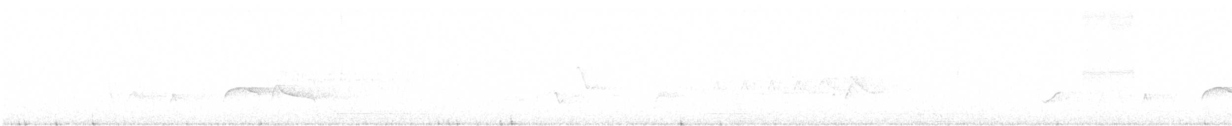 Olivflanken-Schnäppertyrann - ML590894721