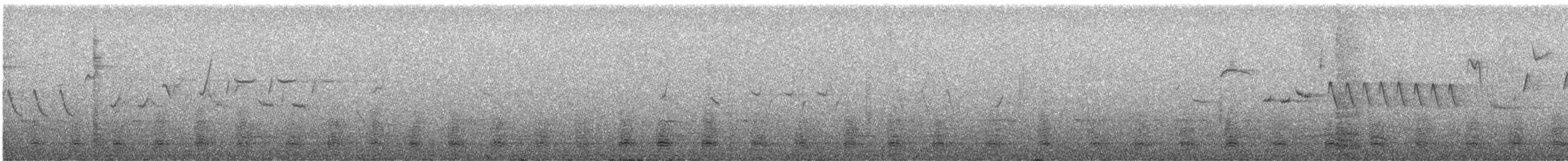 紅喉潛鳥 - ML590911301