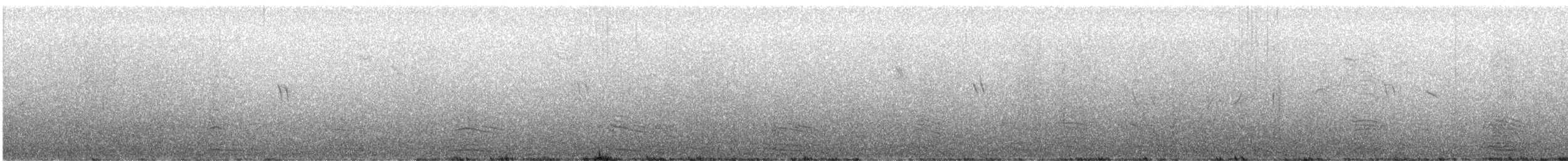 Büyük Kara Sırtlı Martı - ML590924031