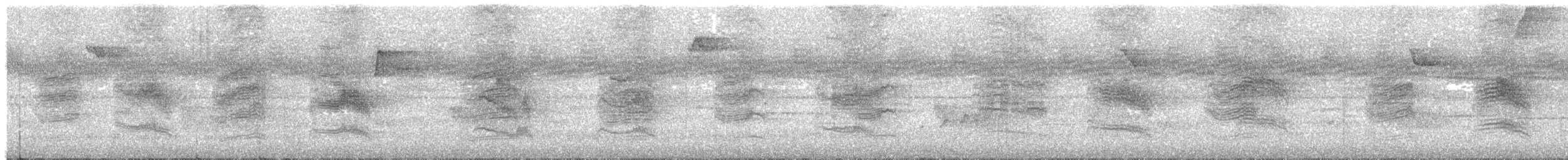 オオヒメコノハドリ - ML590946731