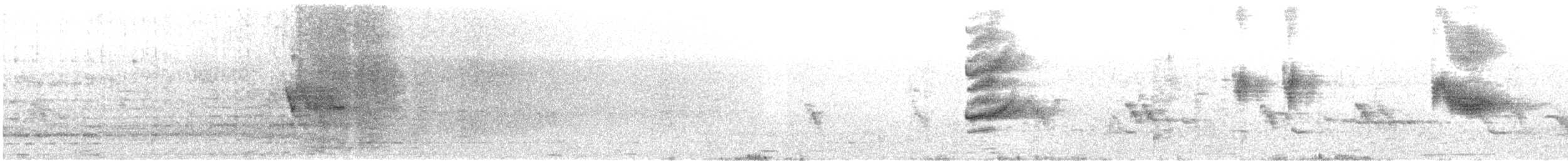 Папуга-довгокрил сенегальський - ML590948331
