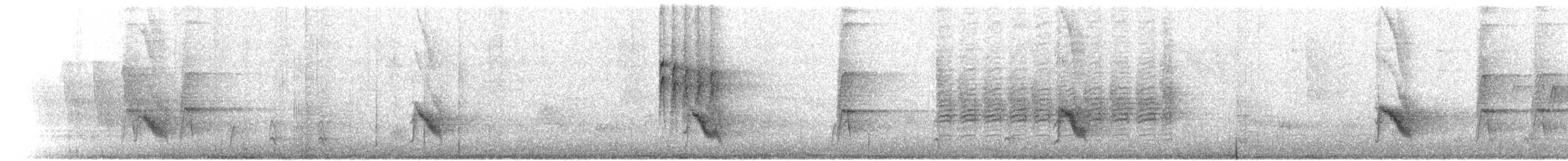Дрізд-короткодзьоб малий - ML59095771
