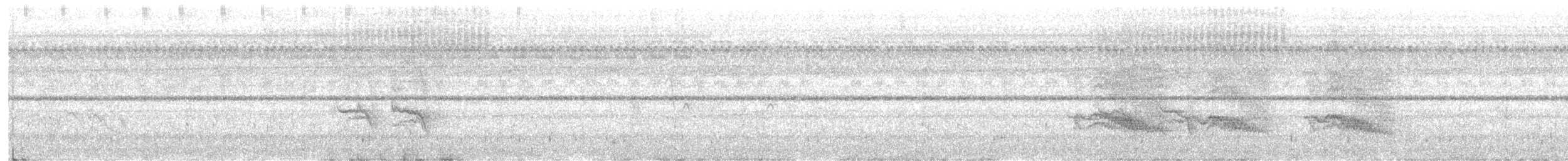 Полосатый воронец (panayensis) - ML590958391