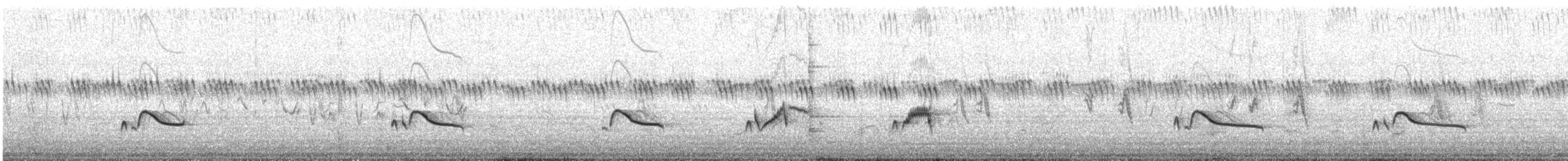 Say's Phoebe - ML590982491