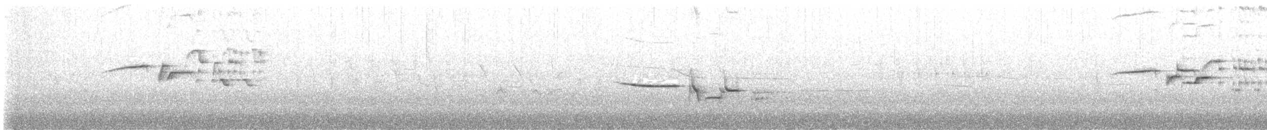 Дрозд-отшельник - ML590990101