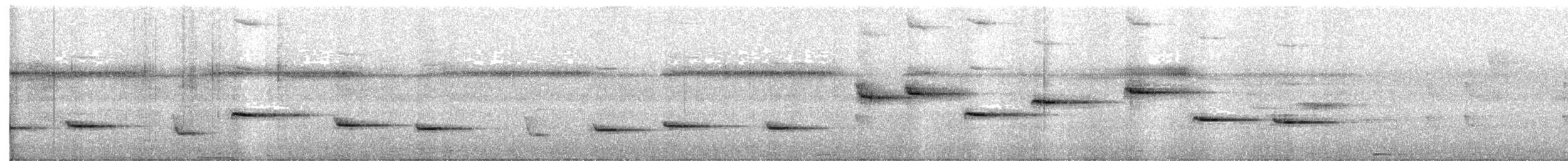 Troglodyte philomèle - ML591042041