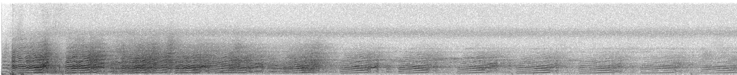 Calao à joues grises - ML591043691