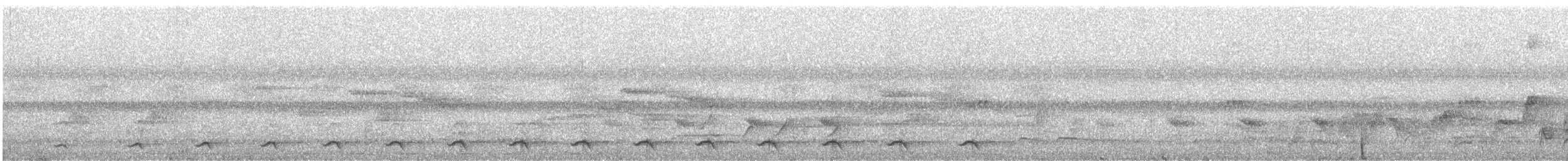 Bar-tailed Trogon - ML591049601