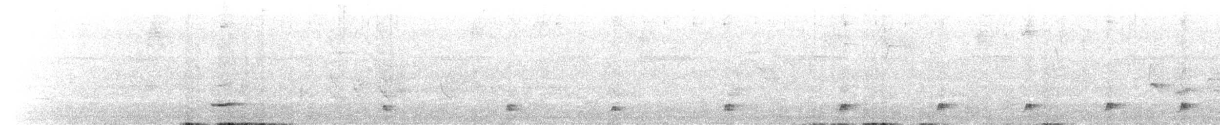 Black-striped Sparrow - ML591053411