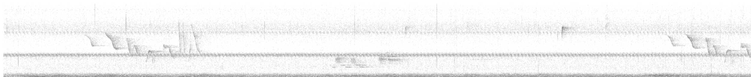 Louisiana Waterthrush - ML591068351