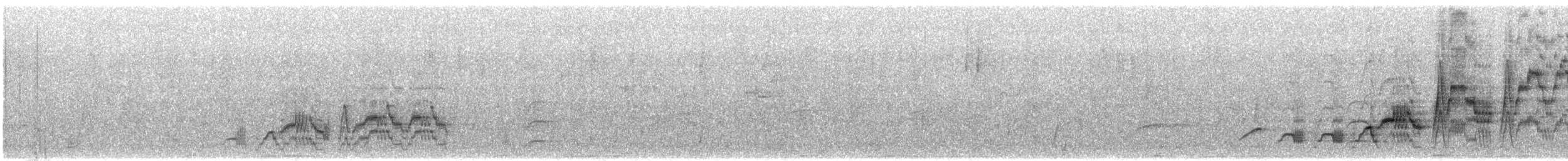 Bülbül Ardıcı [ustulatus grubu] - ML591095911