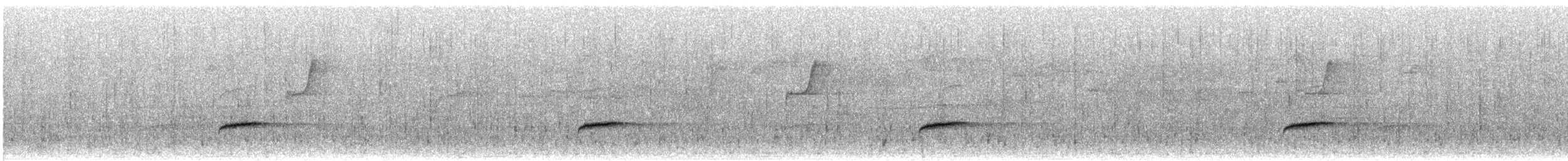Дрізд-короткодзьоб Cвенсона [група ustulatus] - ML591095921