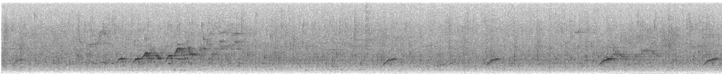 Дрізд-короткодзьоб Cвенсона [група ustulatus] - ML591095941