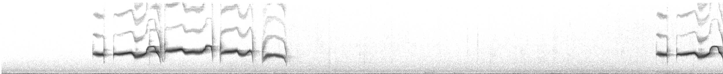 Strichelrücken-Ameisenfänger - ML591097691