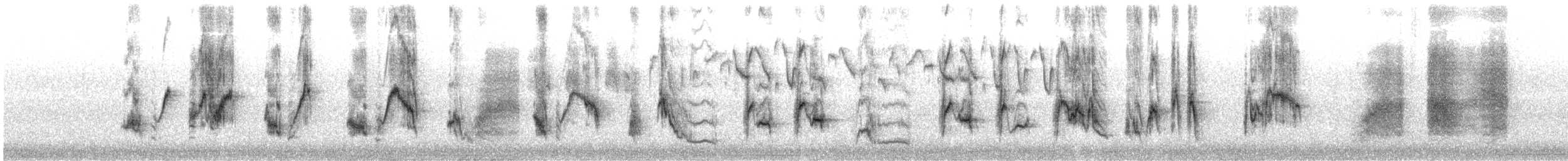 svartryggvarsler (collaris gr.) - ML591098501